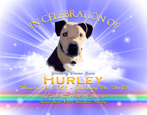 Rainbow Blue Tribute Picture