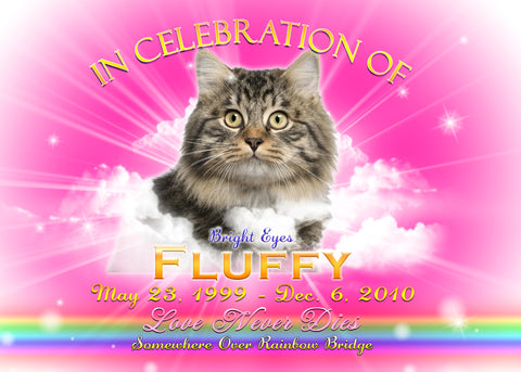 Rainbow Pink Tribute Picture with Wings
